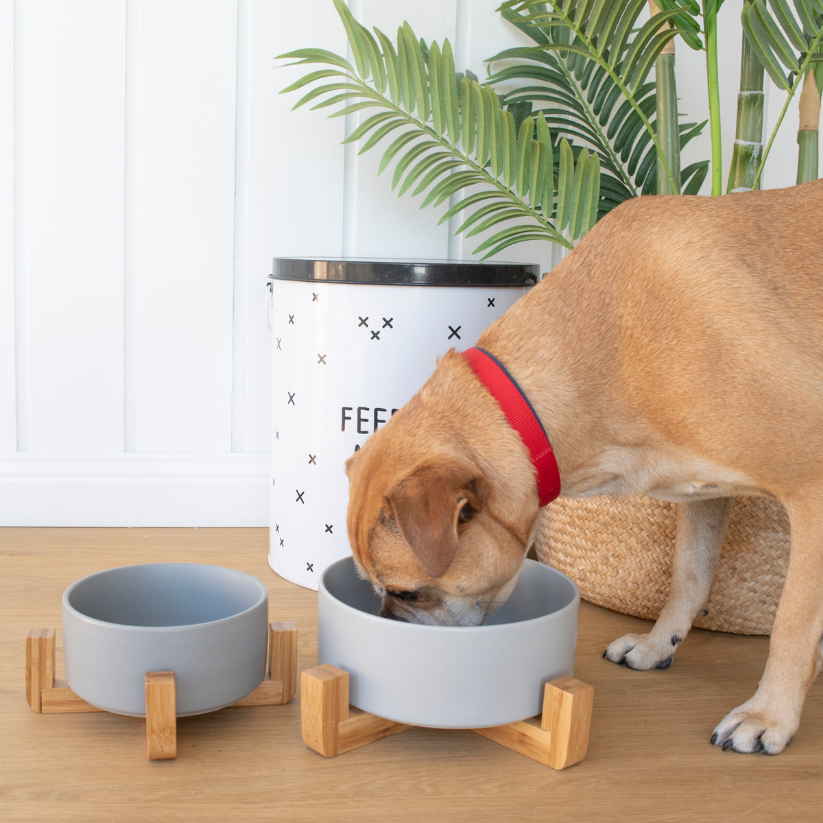 Ceramic Dog Bowls with Wooden Stand