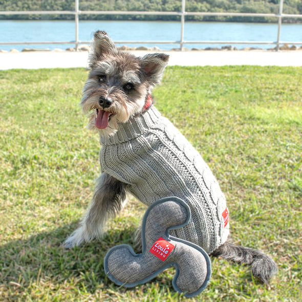 Frisbee