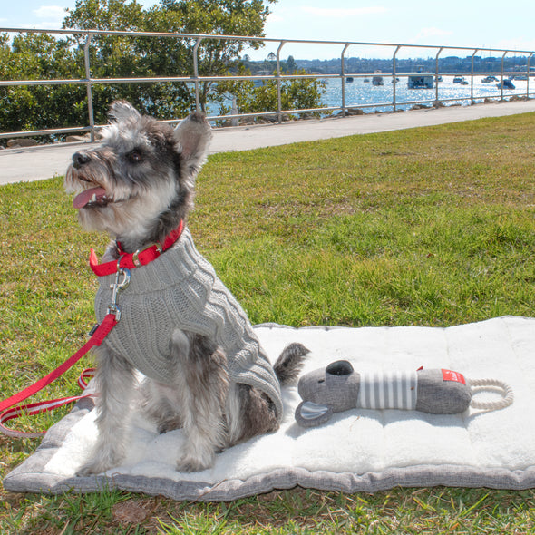 The Voyager Travel Mat (Grey)