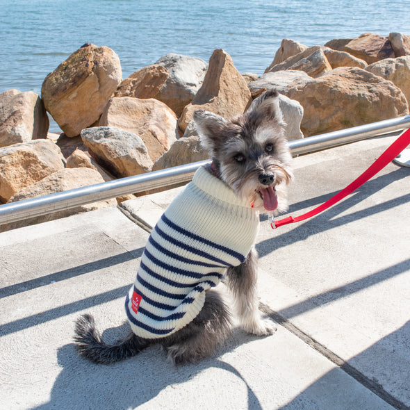 Stripe Cardigan - Navy/White